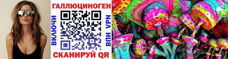 Купить закладки  Зеленокумск  Псилоцибиновые грибы Magic Shrooms 